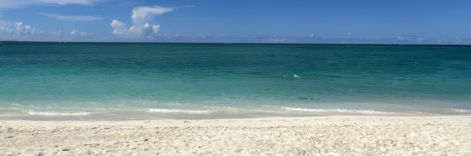 DreaRenee's profile banner image