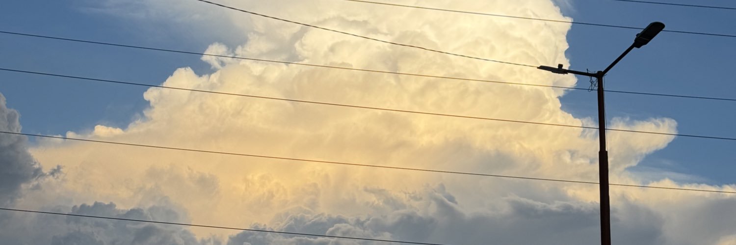 biribiribpm's profile banner image