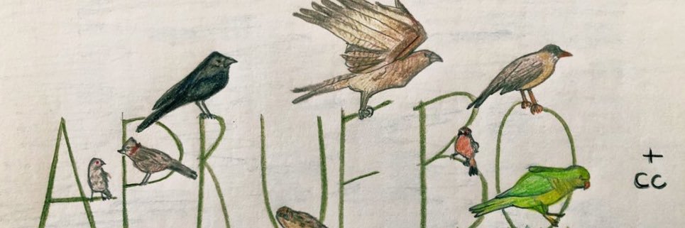 Alan 🍊 🌳 banner