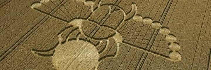 TWayne7800's profile banner image