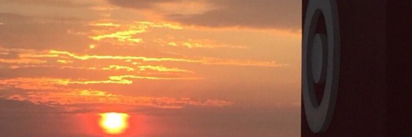 RobinCarlson19 Profile Banner