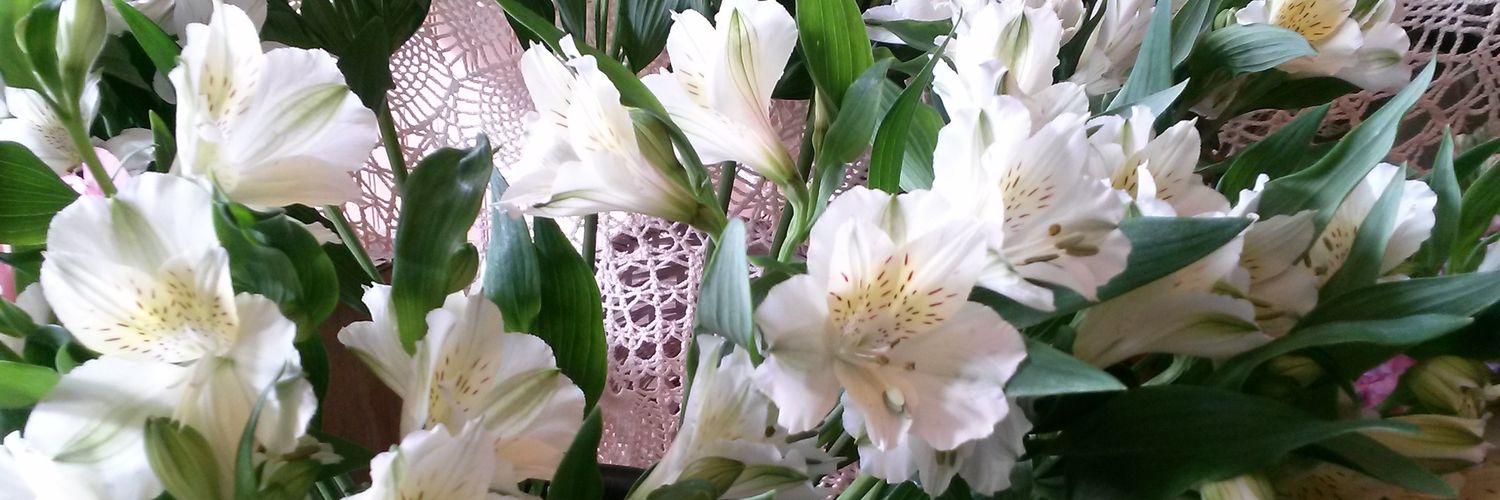 flowers72573's profile banner image