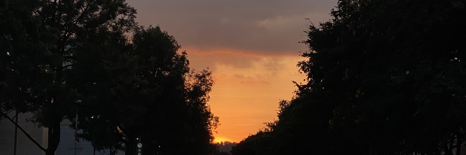 lapulga_es's profile banner image