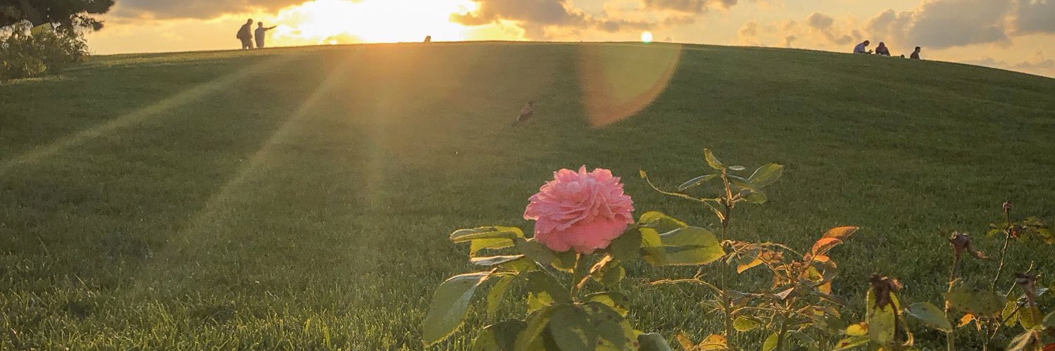 000_mnr's profile banner image