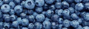 Blueberries Rock! 🦋🏝️☀️ banner