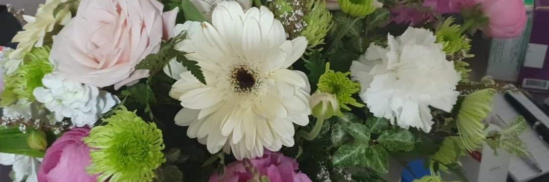 Wilma’s Way banner