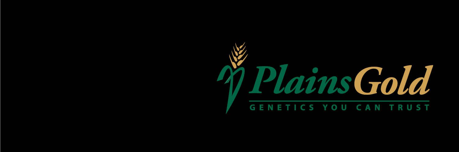 PlainsGold's profile banner image
