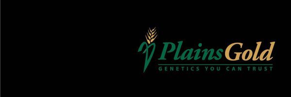 PlainsGold Profile Banner