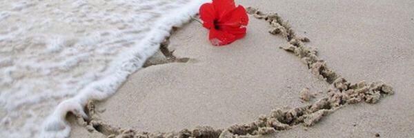 no35nmm's profile banner image