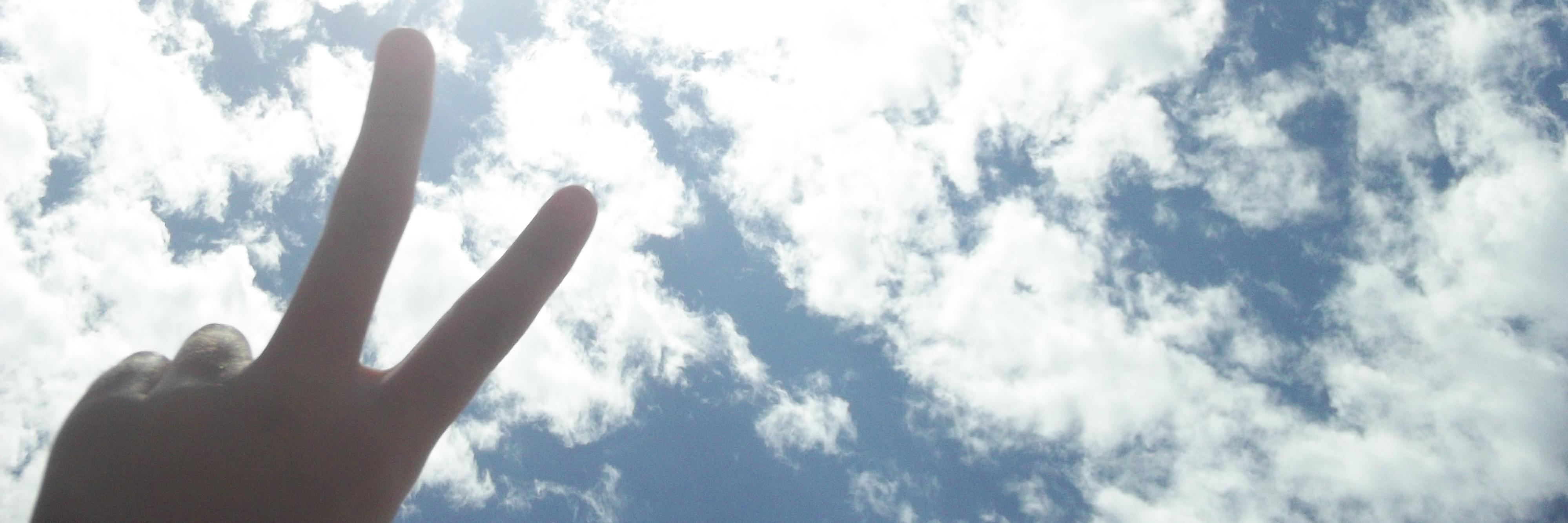 nanet61's profile banner image