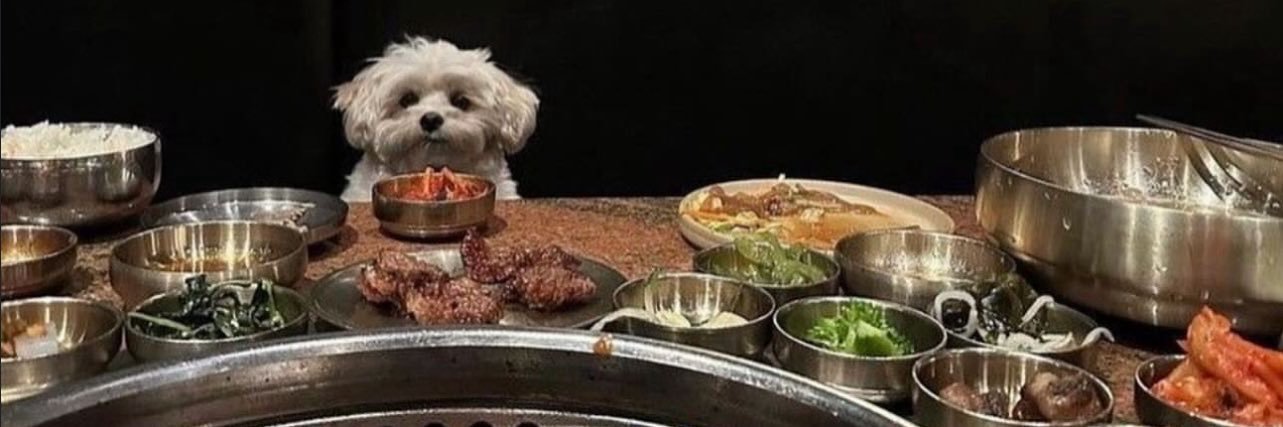 Safaridave1's profile banner image