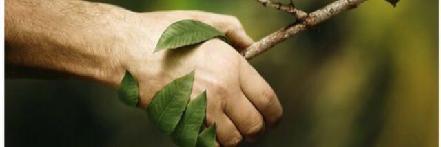 SmartTrees's profile banner image