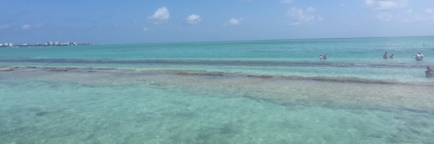 GiankaRamirez's profile banner image
