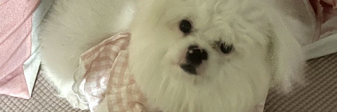 Kristina Samantha 08 banner