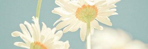 Dohui_YOU's profile banner image