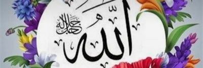 أم البراء banner