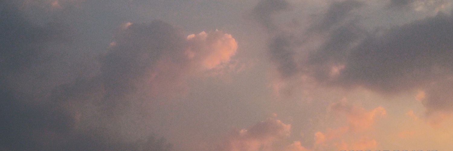 _chirikuchi's profile banner image