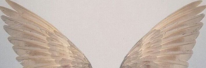imisslay's profile banner image