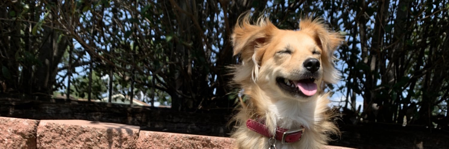 aliiisandraaa's profile banner image