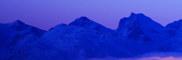 Karstonfox Profile Banner