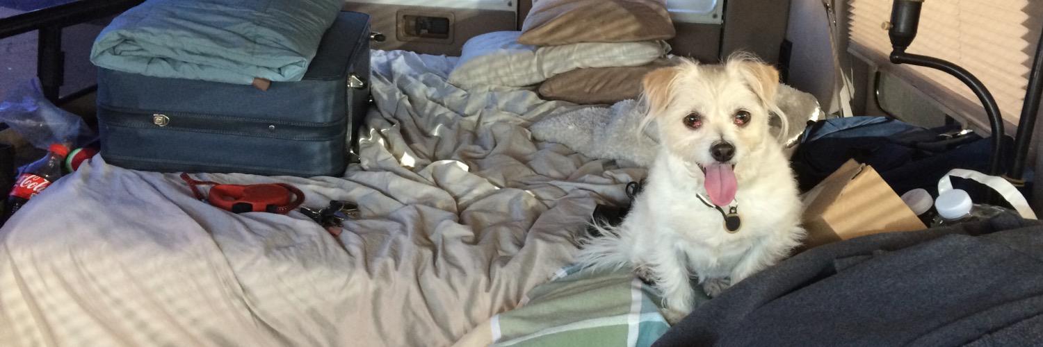 HomelesSMack's profile banner image
