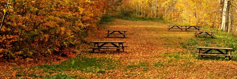 PositiveVibeSay's profile banner image