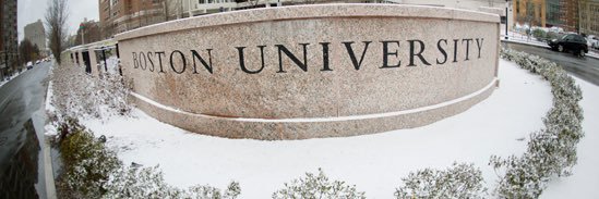 Dalia Meisha د. داليه ميشه banner