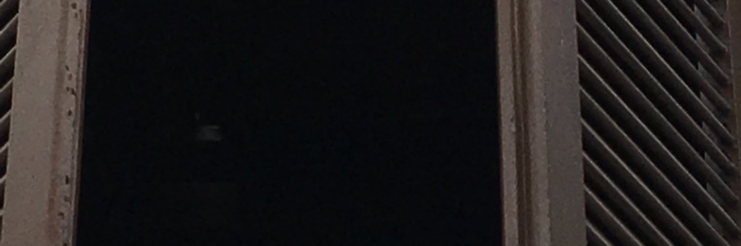 fvieira_nut's profile banner image