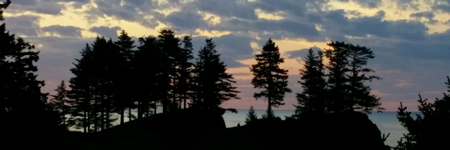 JDsNumber1Fan's profile banner image