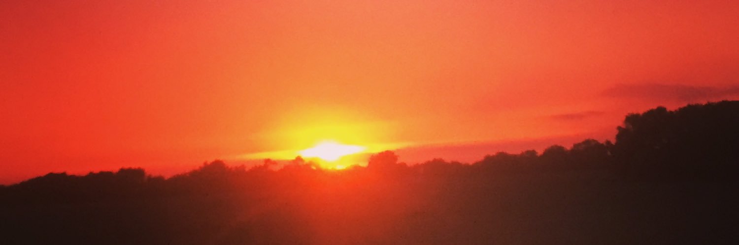 Tiny_Tank74's profile banner image