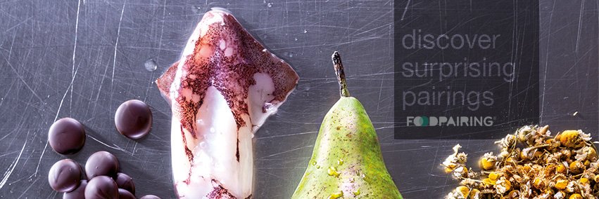 Foodpairing® banner