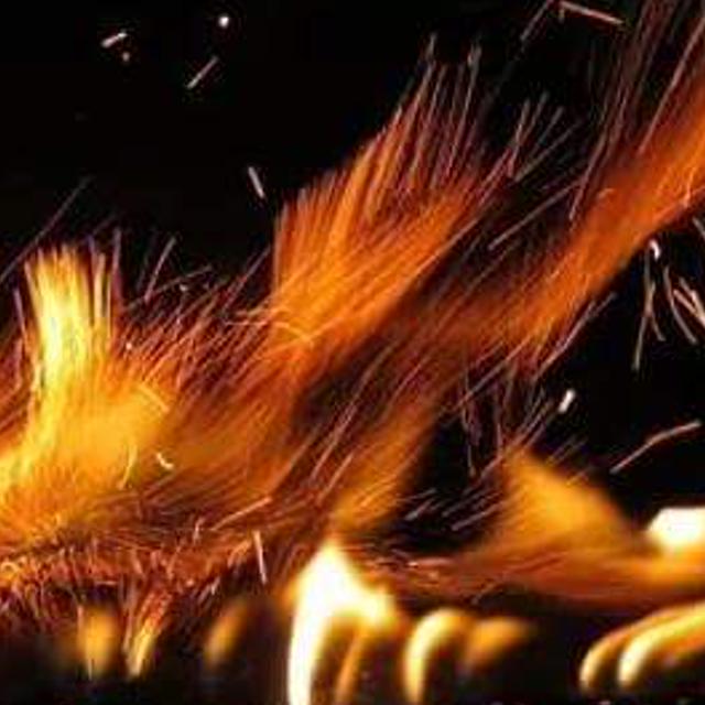 yeimyrojas's profile banner image