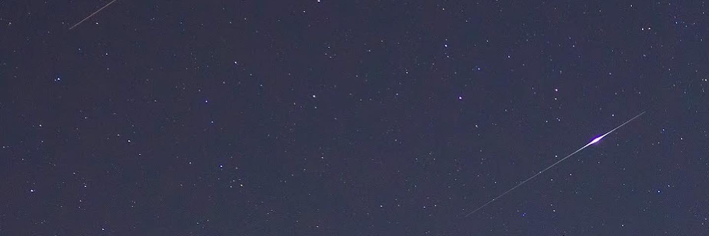 artofcygnus's profile banner image