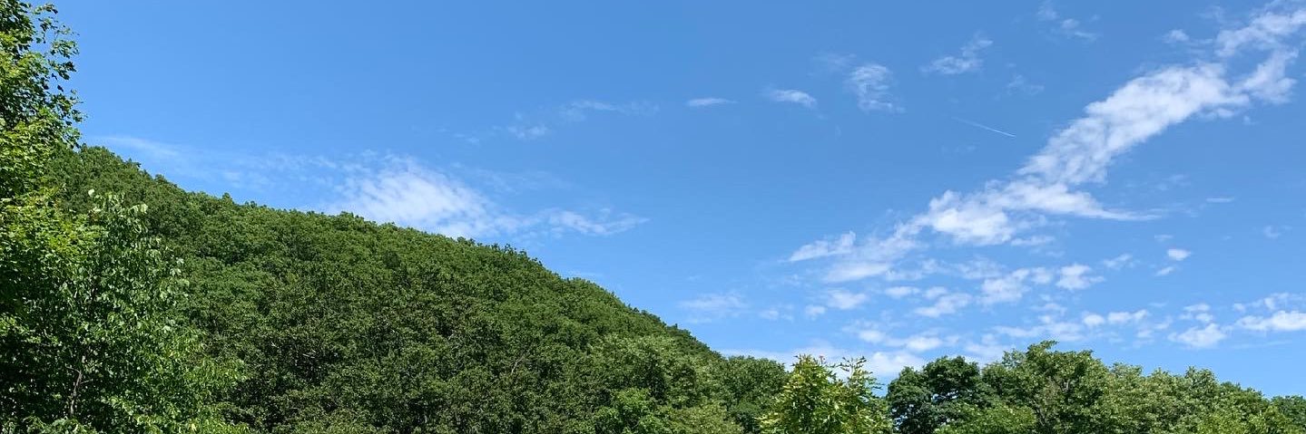lindygod's profile banner image