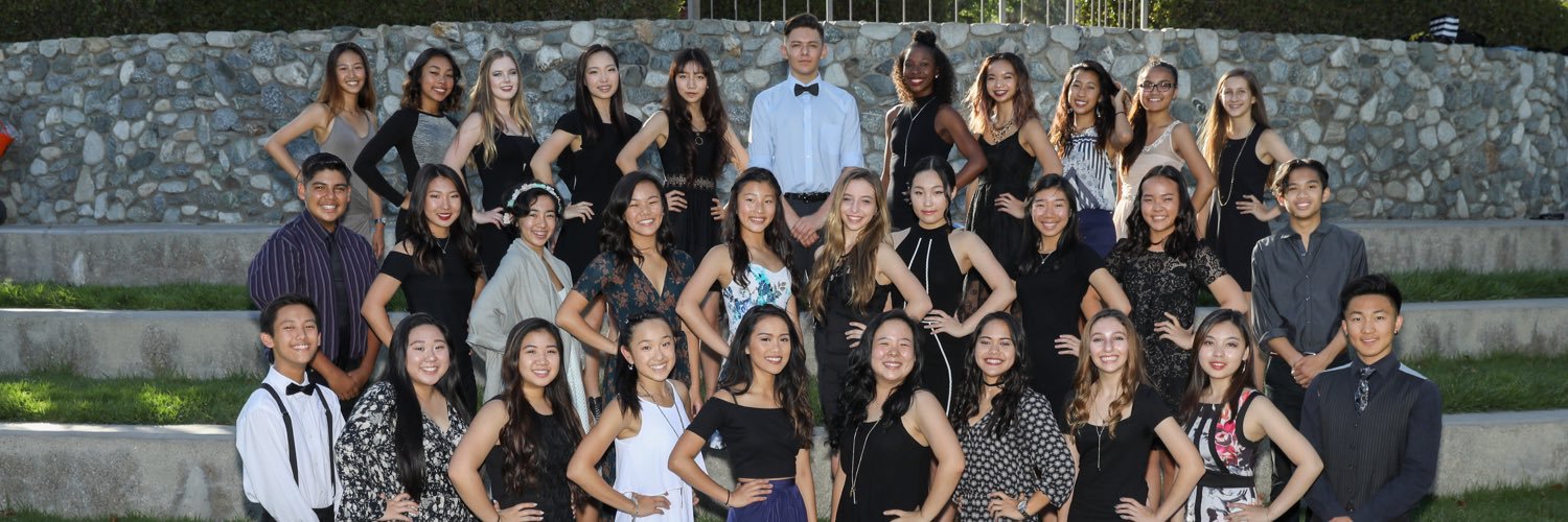 DBHS Dance Company banner