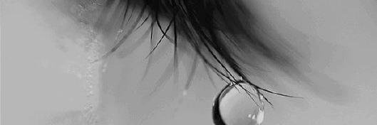 WhyAreUCry's profile banner image