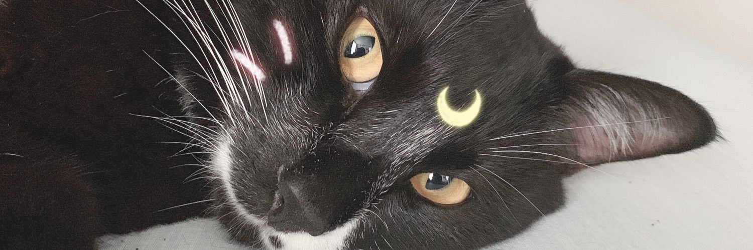 kaaaaaaaaaani's profile banner image