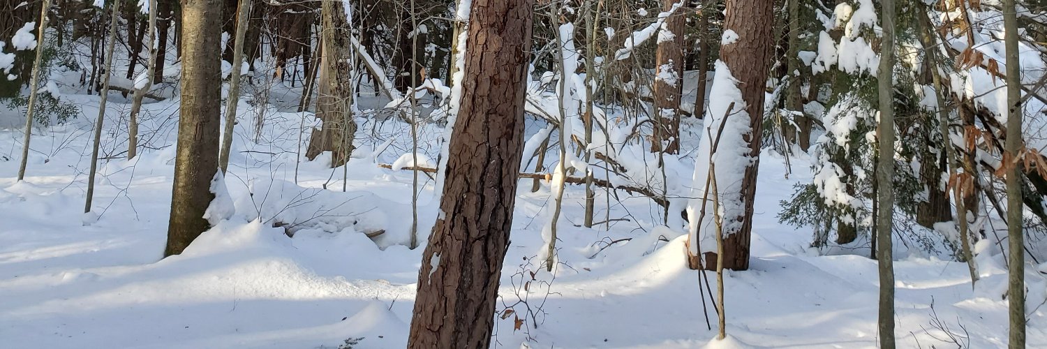 Neal S Parikh MD banner