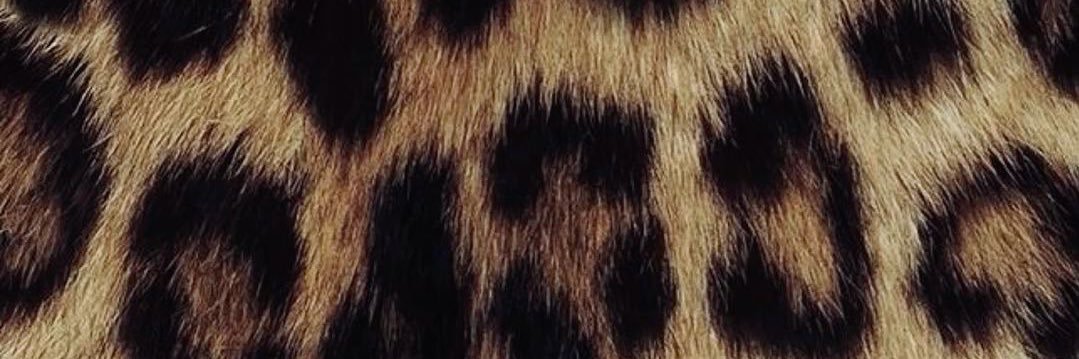LuChiarlo_'s profile banner image