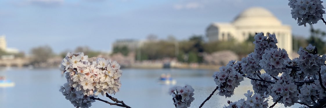 ameichelbaum's profile banner image