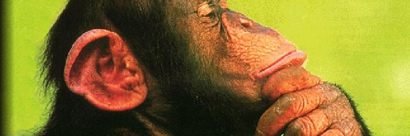 tsoyoe's profile banner image