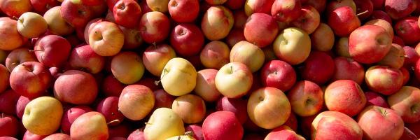 DominionCider Profile Banner