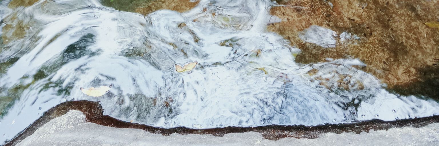 ivetteSantoos's profile banner image