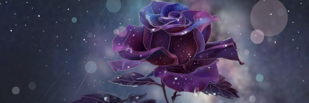 black05111's profile banner image