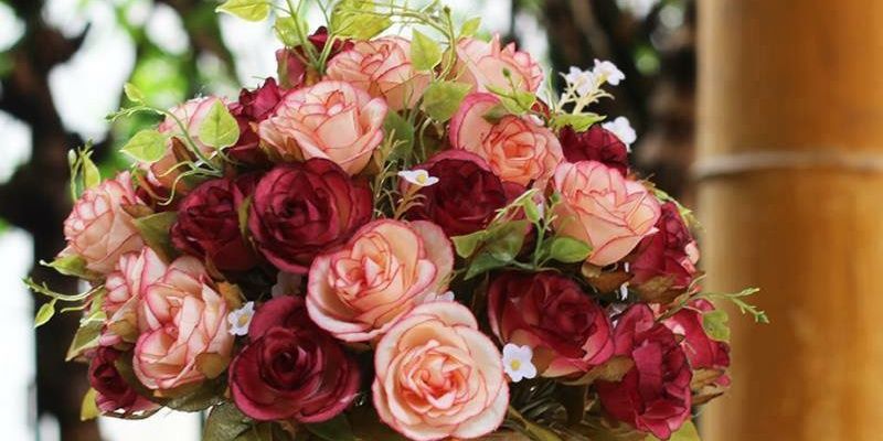 eee8c16f47eb4e2's profile banner image