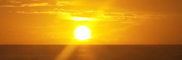 Lisa4Nash Profile Banner