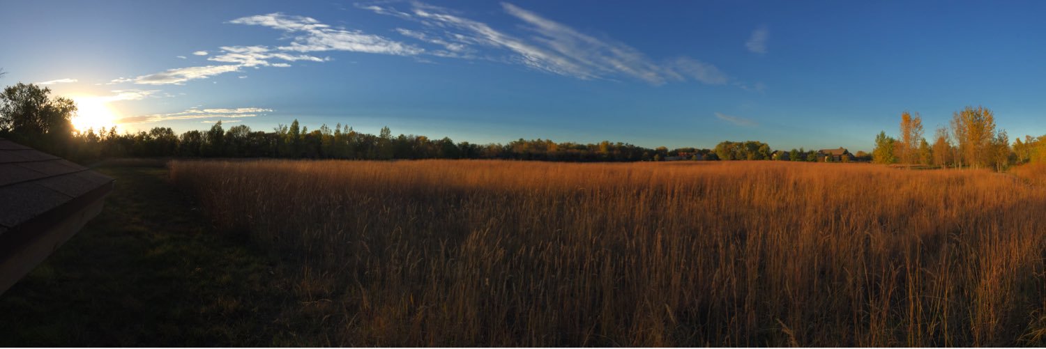 Sofa King - King of Fuh banner