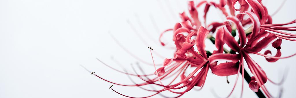 diotw136's profile banner image