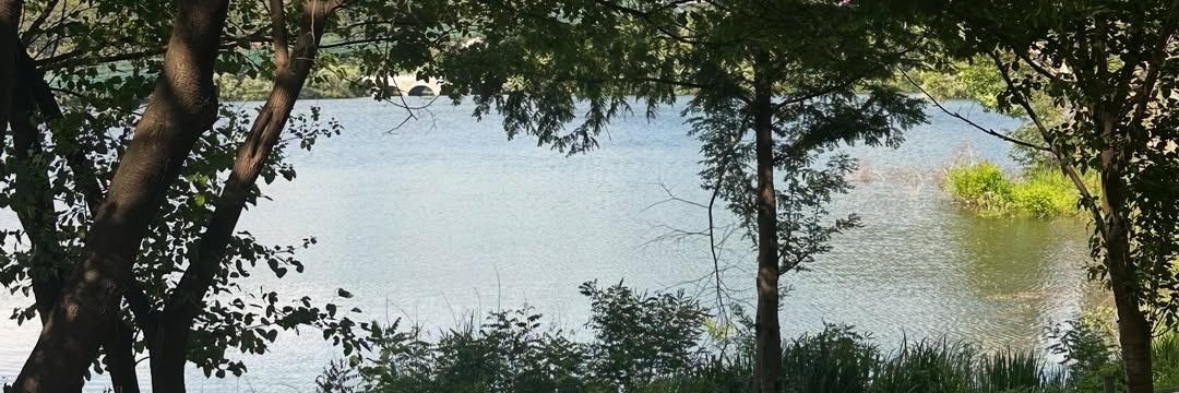 tmrmjingga's profile banner image