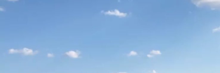 kali 🧚🏼‍♀️ banner